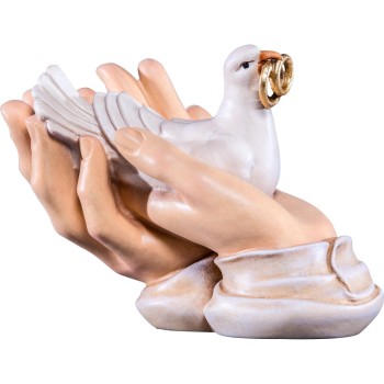 Holubica so snubnými prsteňmi v ochranných rukách