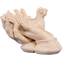 Holubica so snubnými prsteňmi v ochranných rukách