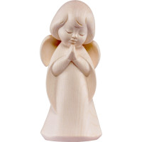 Dream angel praying