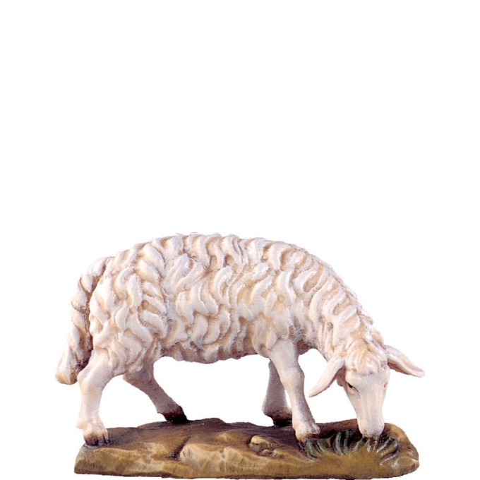 Grazing sheep for nativity scene - farm
