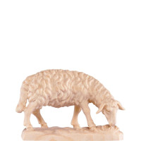 Grazing sheep for nativity scene - farm