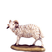 Ram for nativity scene - farm