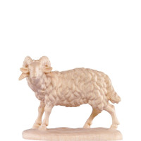Ram for nativity scene - farm