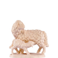 Sheep with Lamb for nativity scene - farm 