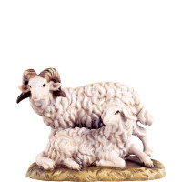Ram with sheep for nativity scene - farm 