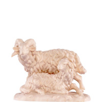 Ram with sheep for nativity scene - farm 