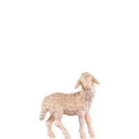 Stojace jahňa pre betlehem - farmarský