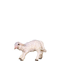 Malé jahniatko pre betlehem - farmarský