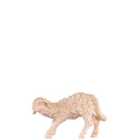 Malé jahniatko pre betlehem - farmarský