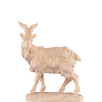 Billy goat for nativity scene - farm 