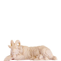 Goat lying for nativity scene - farm