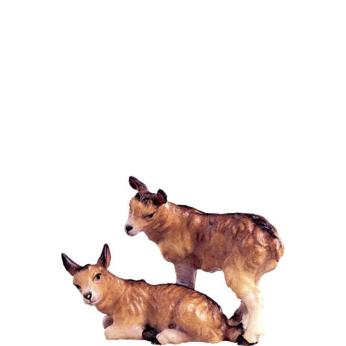 Baby goat for nativity scene - farm