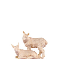 Baby goat for nativity scene - farm