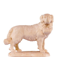 St. Bernard-dog for nativity scene - farm