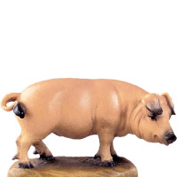 Pig for nativity scene - farm