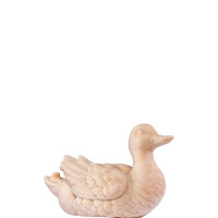 Duck green for nativity scene - farm