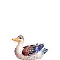 Duck white for nativity scene - farm