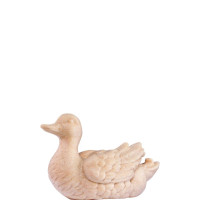 Duck white for nativity scene - farm