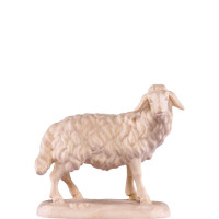 Standing sheep - classic