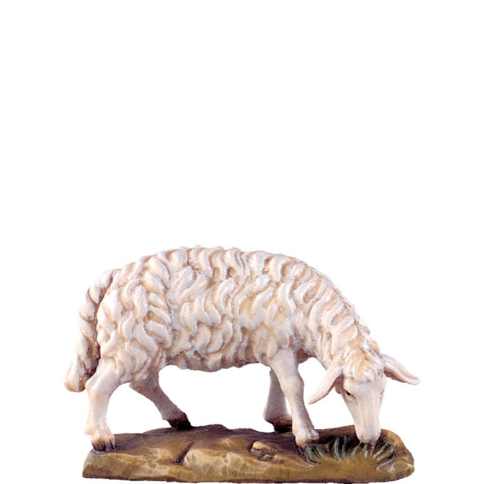 Grazing sheep - classic