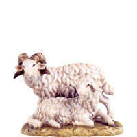 Ram with sheep - classic