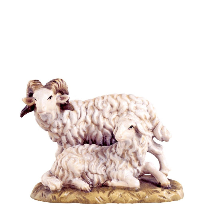 Ram with sheep - classic