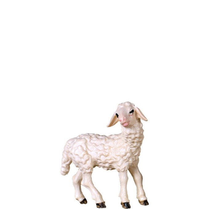 Stojace jahňa - klasický