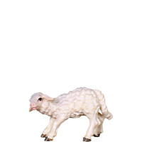 Small lamb - classic