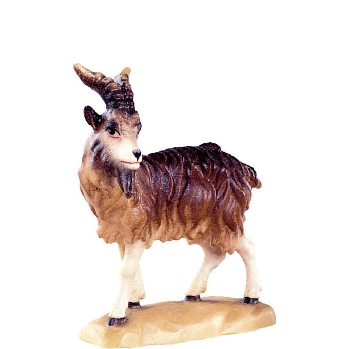 Billy goat standing - classic