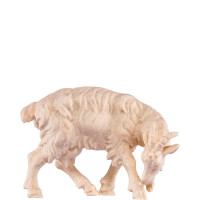 Resting goat - classic