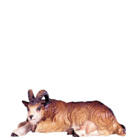Lying goat - classic