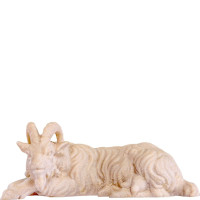 Lying goat - classic