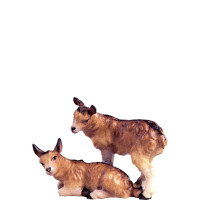 Baby goat - classic
