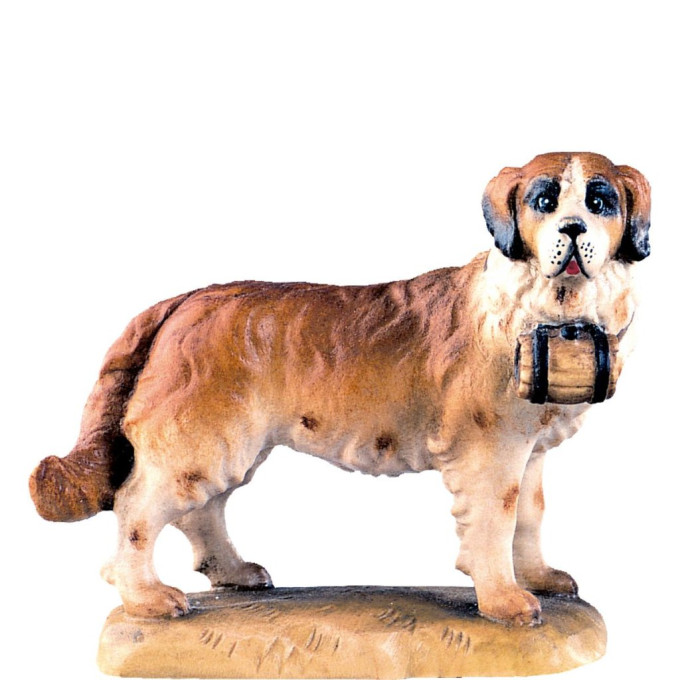 St.Bernard dog - classic