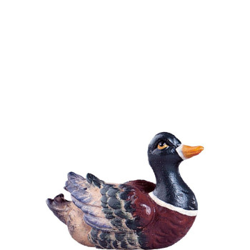 Kačica zelená - klasický