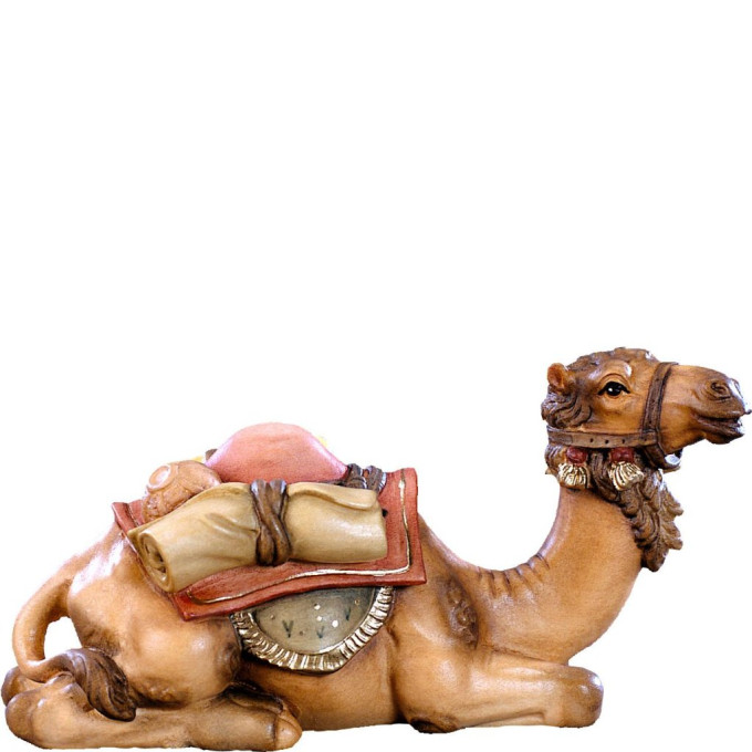 Lying camel - classic