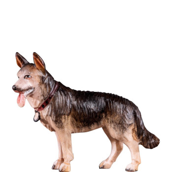 Ovčiarský pes - farmársky z borovice