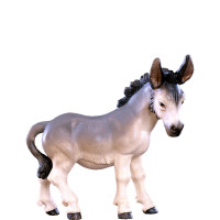 Osol pre betlehem - dolomitský