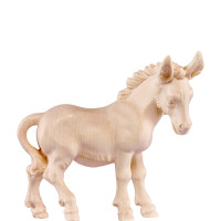 Osol pre betlehem - dolomitský