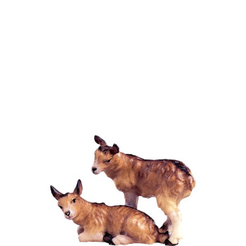 Kozliatka pre betlehem - dolomitský