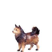 Spitzdog for nativity - dolomite
