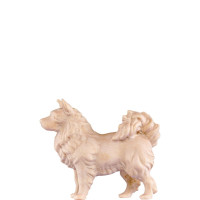 Spitzdog for nativity - dolomite