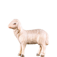 Sheep walking for Nativity scene - Rives