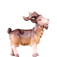 Billy goat for Nativity scene - Rives