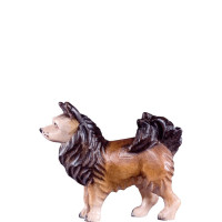 Spitzdog for Nativity scene - Rives
