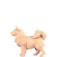 Spitzdog for Nativity scene - Rives