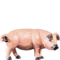 Pig for Nativity scene - Rives
