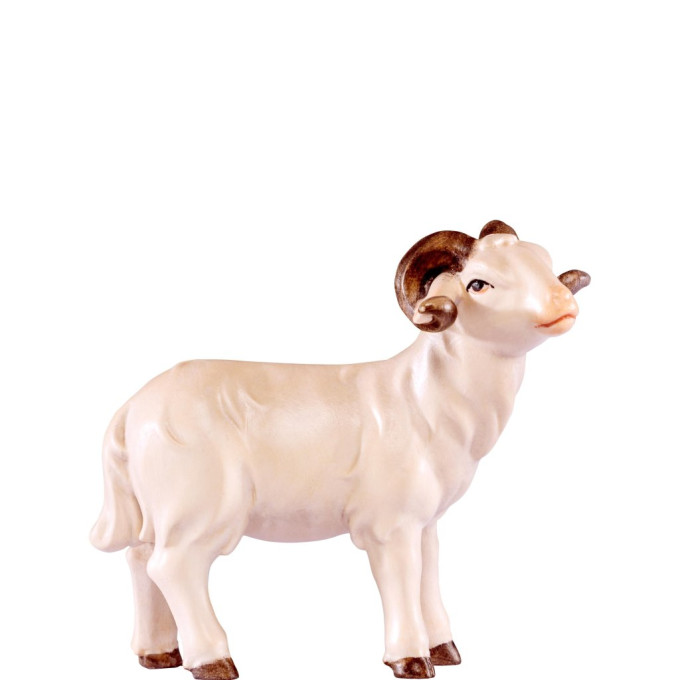 Baran pre betlehem - Artis