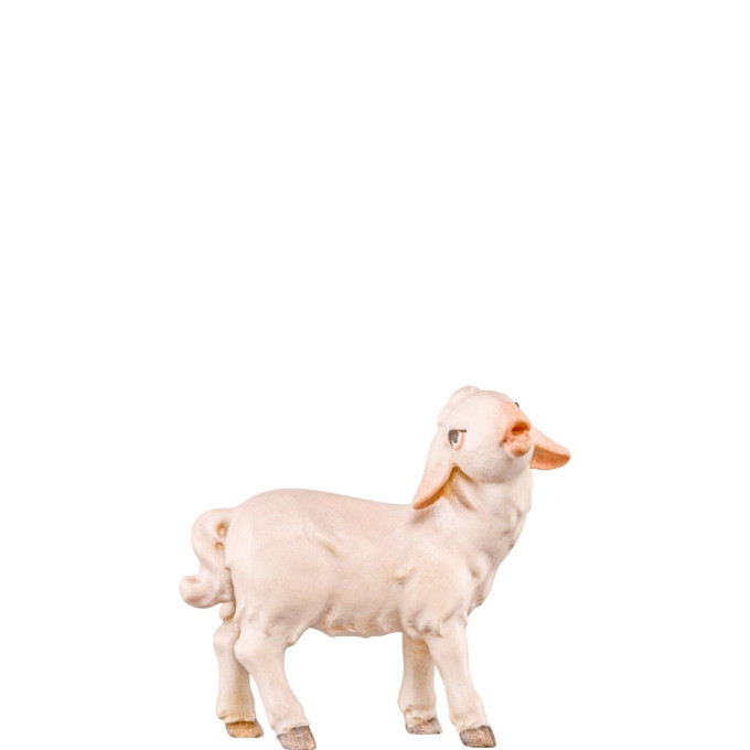 Lamb standing for Nativity scene - Artis