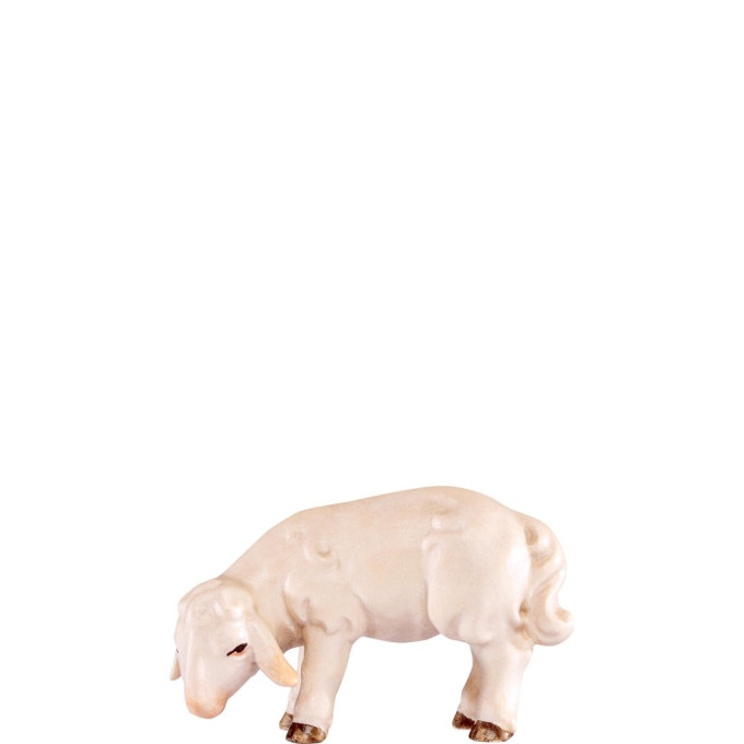 Lamb grazing for Nativity scene - Artis